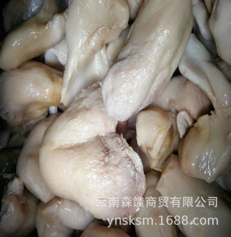 Bailing White spirit fungus Saltwater bacteria Mushroom(Net weight Forty three kg . One piece Origin Wholesale