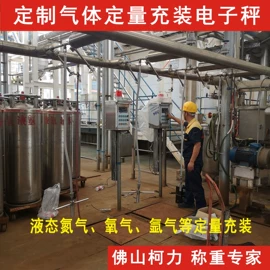 称重传感器;电子秤;显示仪表