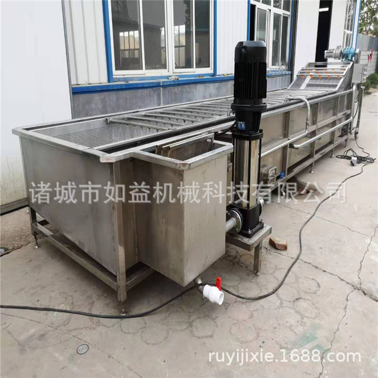 臭氧式芸豆清洗去泥机 四季豆气泡清洗机 毛豆荚专用清洗设备厂家