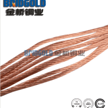 廠家直供T2紫銅10絲銅電刷線 斷路器銅絞線 TSR電工軟銅絞線
