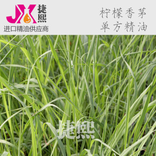 ���l���ʲ�/������é�η�����Lemongrass ��ֲ�����ԭ�Ͼ���