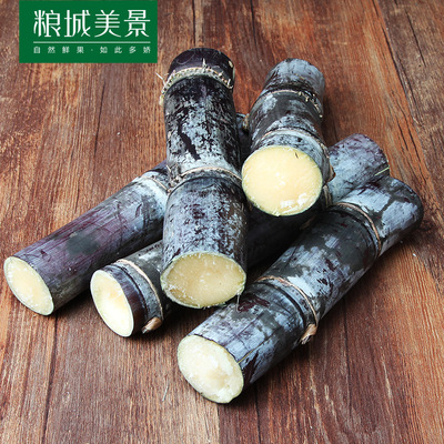 [ Z-5 ]Guangxi Black cane 1 pounds fresh Season specialty Sweet rod badila