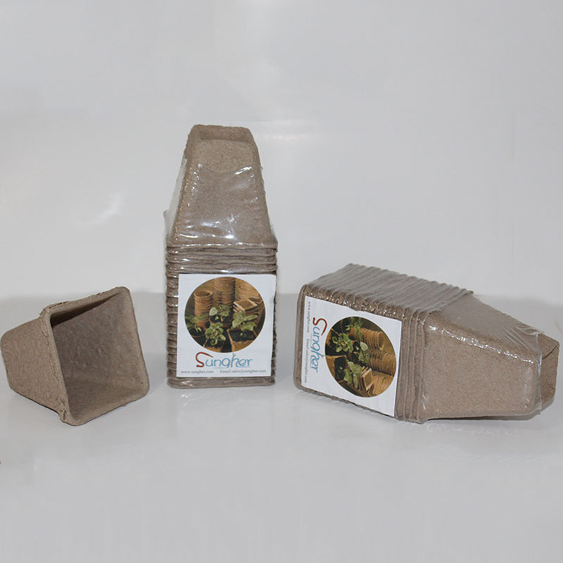 未标题-1_0004_IMG_7758