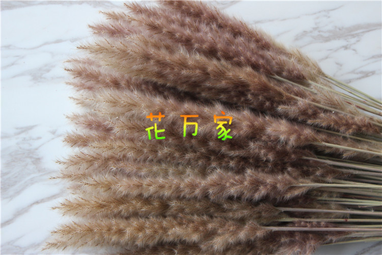 IMG_1145_副本.jpg