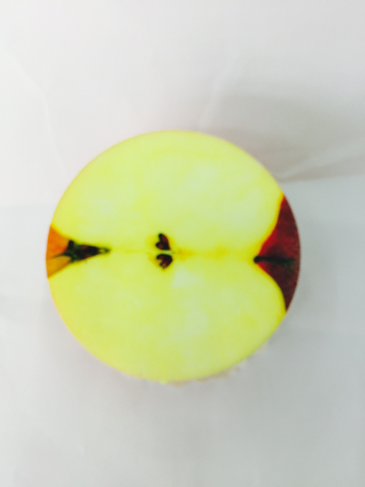 33AB9A4B98AA0C448B8531754A7F36