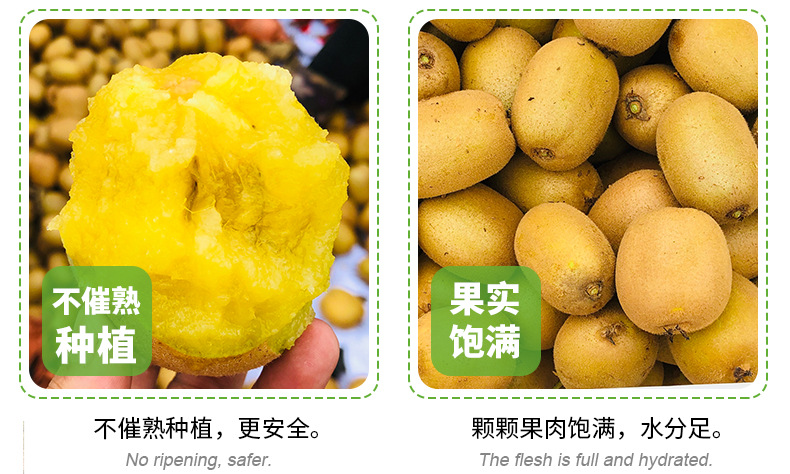 黄心猕猴桃_11.jpg