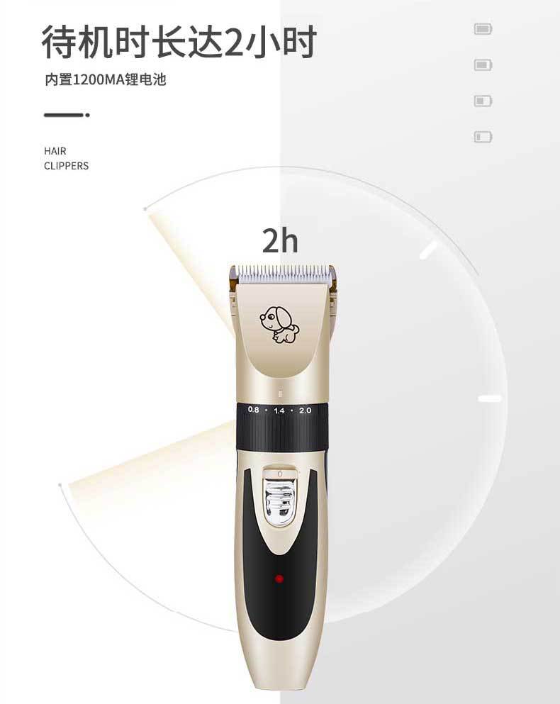 C8新款1_06