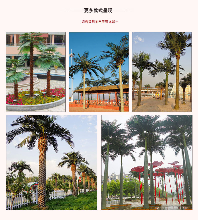 椰子树2_08.jpg