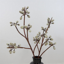 银柳料价格 最新银柳料价格 批发报价 价格大全 阿里巴巴