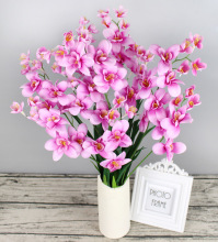 2����m �ߙn�����m�� ���m ���滨���lֱ���S�� ���컨 ����