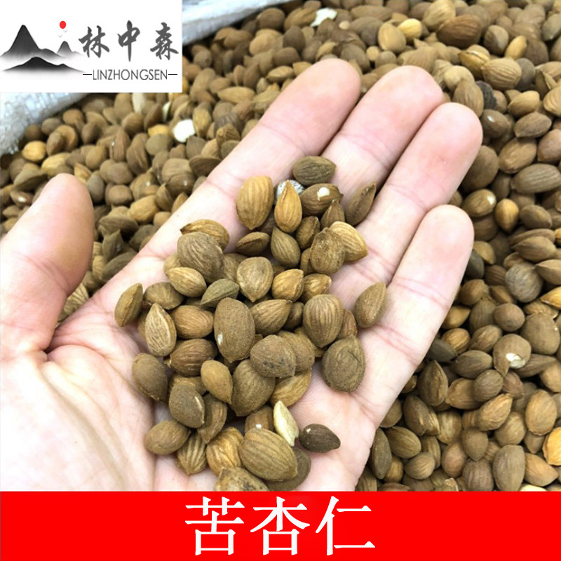 林中森中藥材廠家産地貨源中藥材現貨批發散裝苦杏仁現貨
