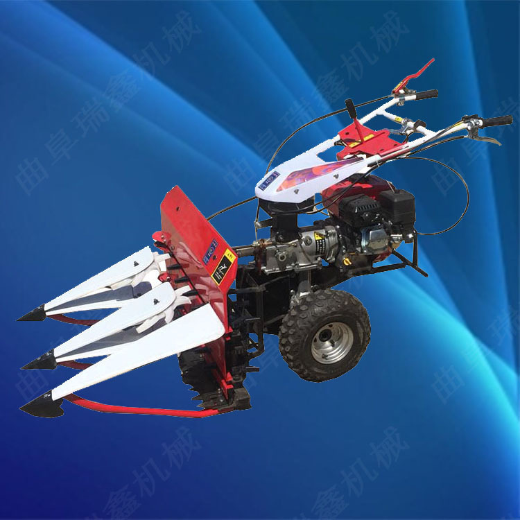 微信图片_201903101033285