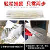 Cross -border English mouse sticks sticky mouse plate powerful and transparent mouse carpet 1.2 meters home mouse catcher mouse gum