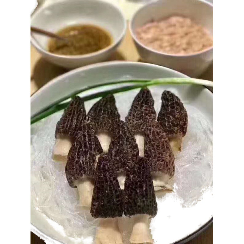 營養 新鮮羊肚菌 藏區仿野生羊肚菌 現采現發  順豐鮮運直達到家