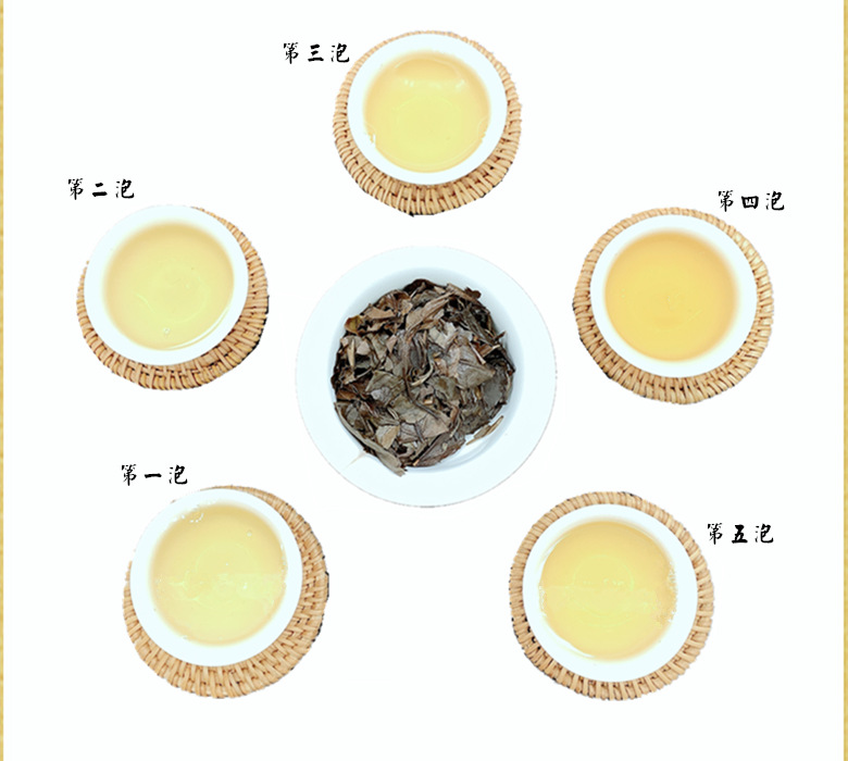 IMG_0958988965656_副本99998