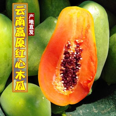 [A generation of fat]Yunnan Plateau Red Papaya Tree fresh Season fruit