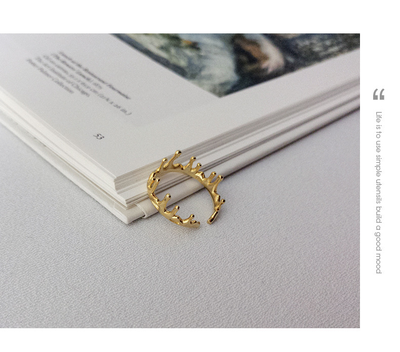 Fashion Simple Style Geometric Sterling Silver Plating Rings