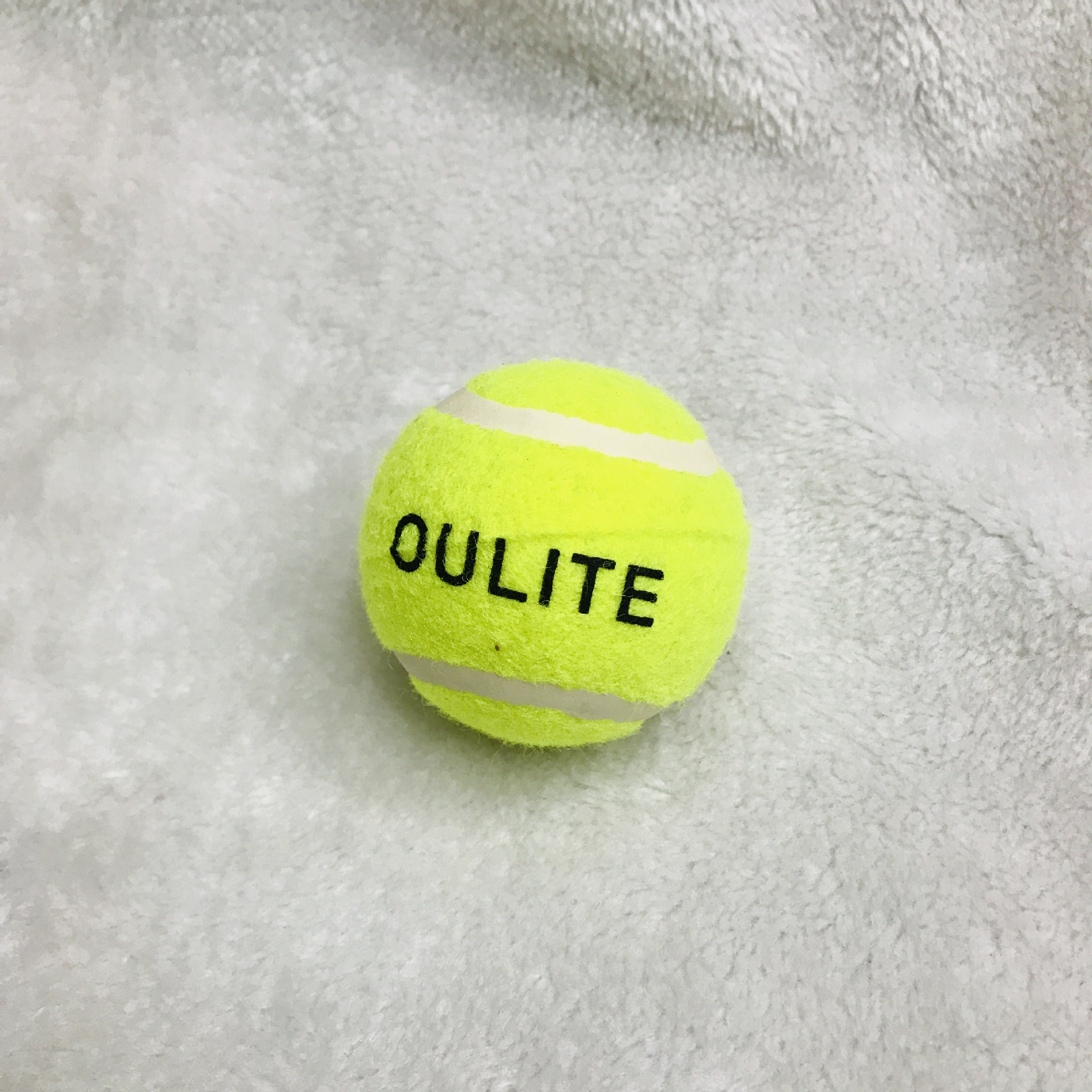 IMG_7629(20190516-150237)