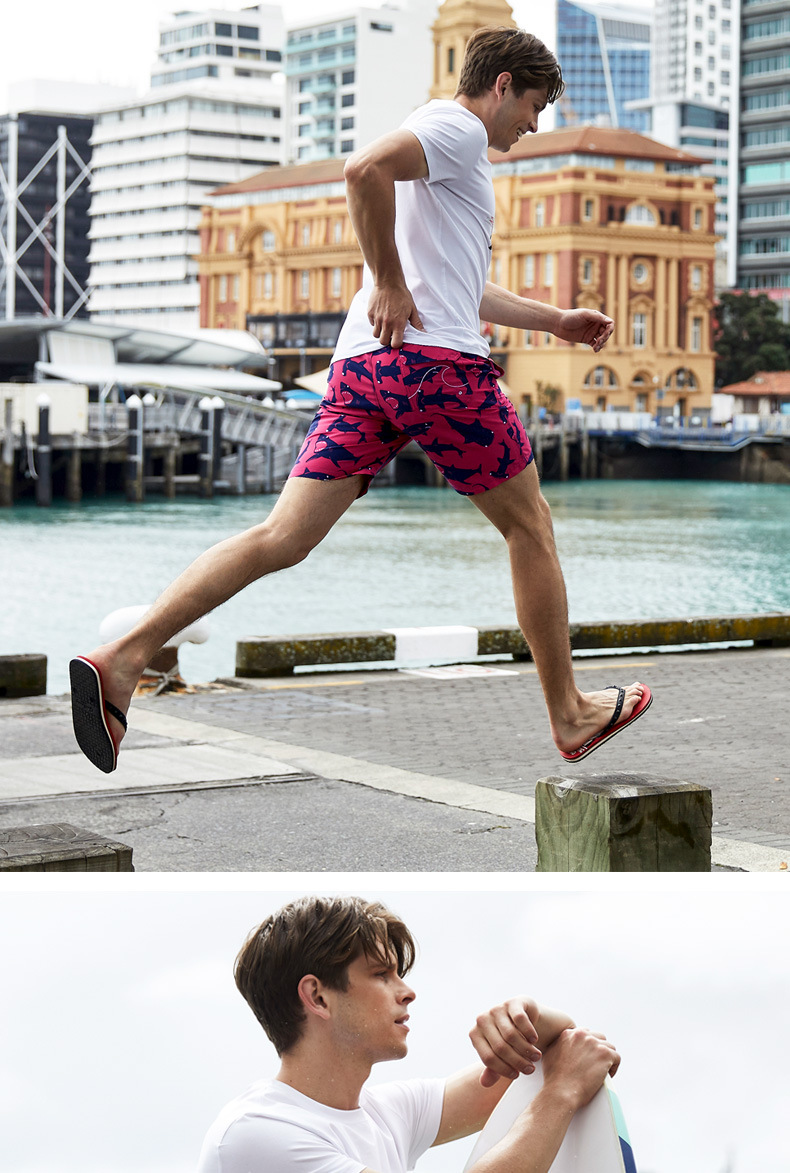 161g Weight Shorts Pants Length Polyester Fabric Type Mid Waist Waist Line Straight Pants, Shorts Pants Type Inelastic Elasticity Beach, Sports Occasion Regular Fit Fit Type Shark Pattern Summer Season Men's Gender Casual Style Men's Shark Casual Regular Fit Men's Bottoms 无