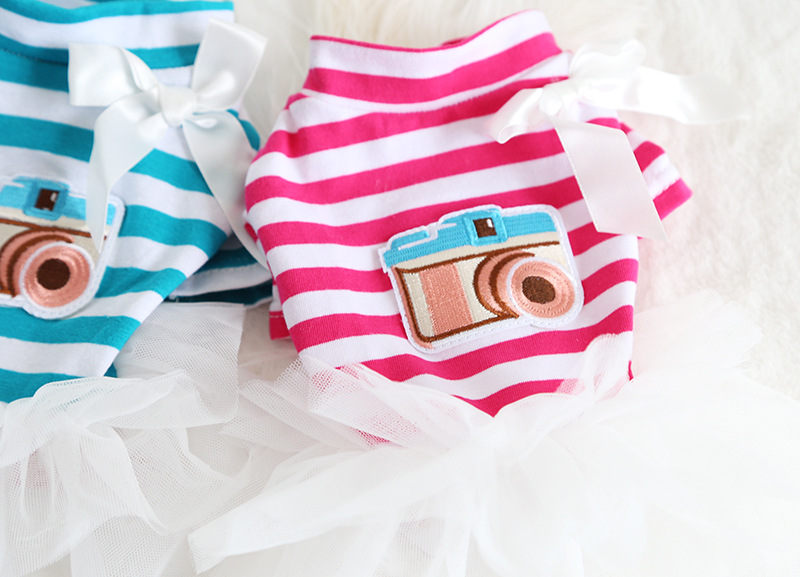 相机条纹纱纱裙