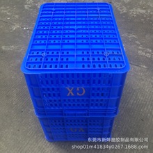 水果批发市场运输周转框840*630*435蓝色新料塑料萝 可印刷LOGO