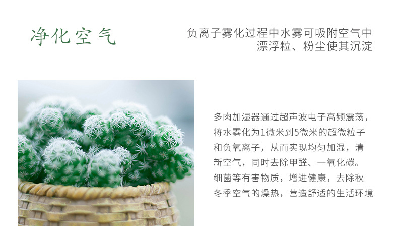 多肉加湿器-详情-2_05.jpg