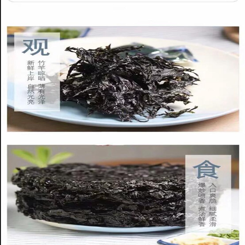 紫菜图3
