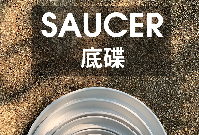 底碟详情790_20_01