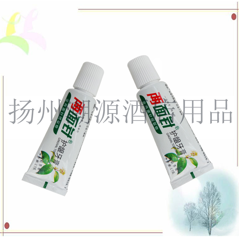 Toothpaste 17g brand toothpaste