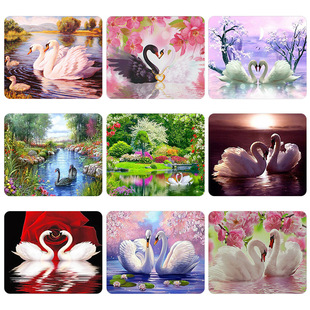 ���Z�ʯ�� �uʯ�� 5d�ʯ���A荝M�DIY�ʯ�� �ʯ�N���ʯ����