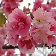 Gm¶ձѲֺ~ԾG1-20ִ֙ѻ