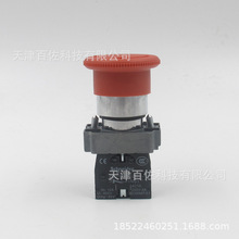 o_PXB2BS542CͣoZB2BS54Co^+ZB2BZ102Co