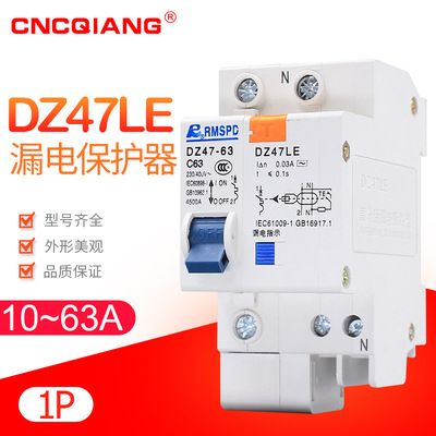 DZ47LE-63A/1P10A-63A Electric leakage Molded Circuit breaker Protector miniature Circuit breaker small-scale Circuit breaker
