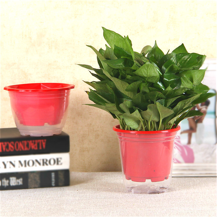 Absorción automática de agua perezoso maceta cuenca de absorción de agua especial para la decoración de la familia Balcón de rábano verde con un considerable nivel de agua de una sola pieza de entrega