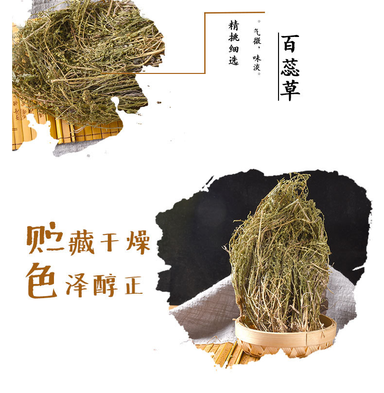 Bai Rui Cao (Thesium chinense) — Dried Whole Herb, New-Crop Clean Lot for Herbal Decoction key features