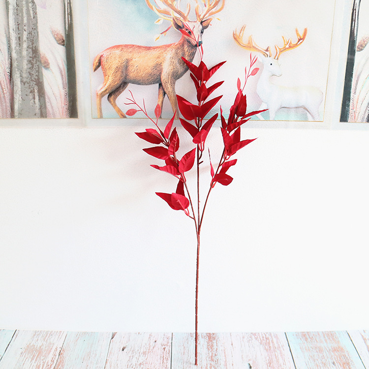 3叉铁线莲 红色