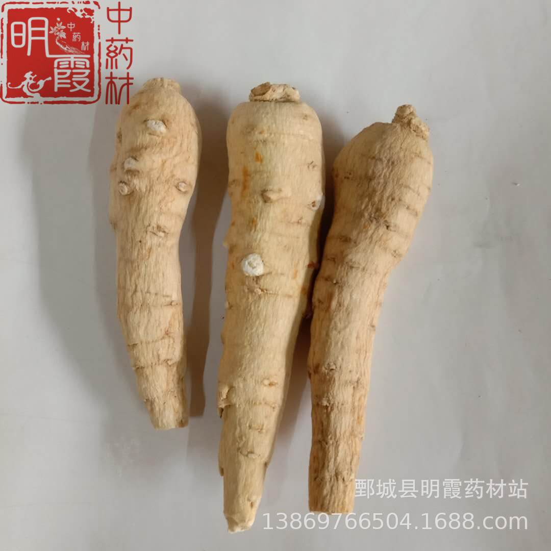 产地供应【西洋参】1000克 批发零售供应  中药材