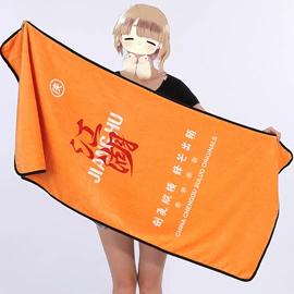 毛巾;运动巾;其他毛毯