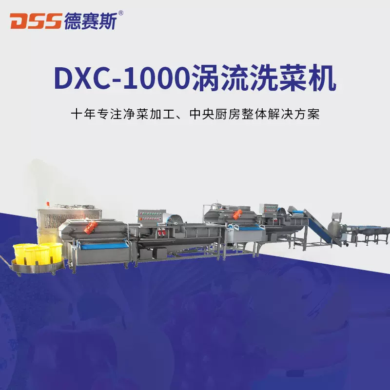 涡流洗菜机304不锈钢臭氧消毒果蔬加 工设备鼓泡清洗机果蔬清洗机