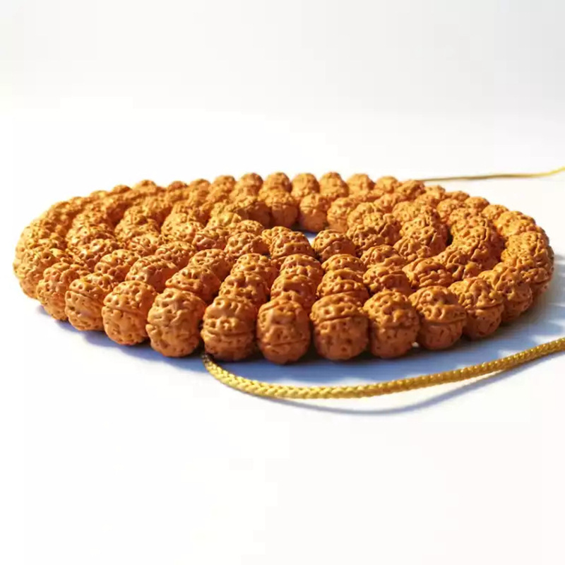 梅花王小金刚_20190715091138