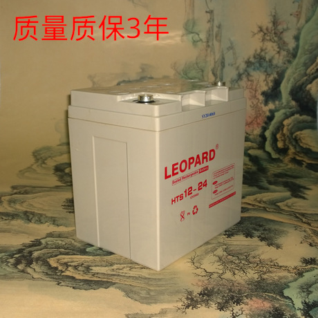 LEOPARD美洲豹 HTS12-24免维护蓄电池 12V24AH 质保包邮