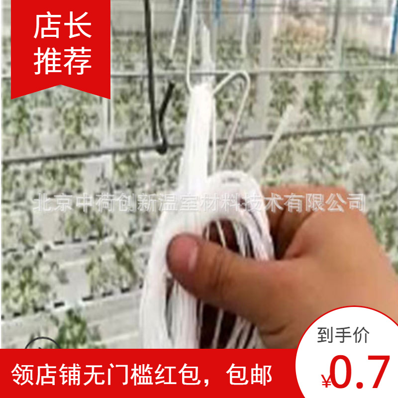 【专业厂家】温室大棚西红柿挂钩【直销】番茄挂钩 温室栽培  M钩|ru