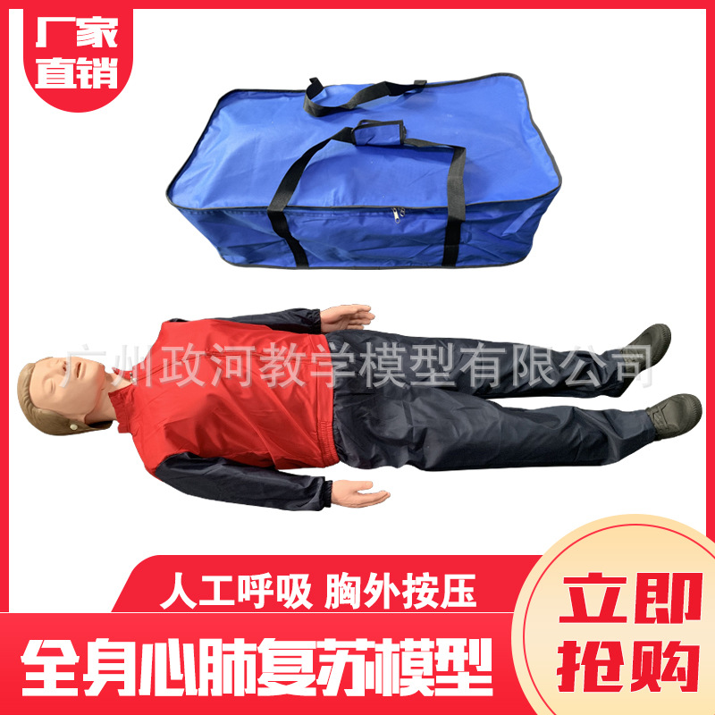 Artificial respiratory medicine mannequin