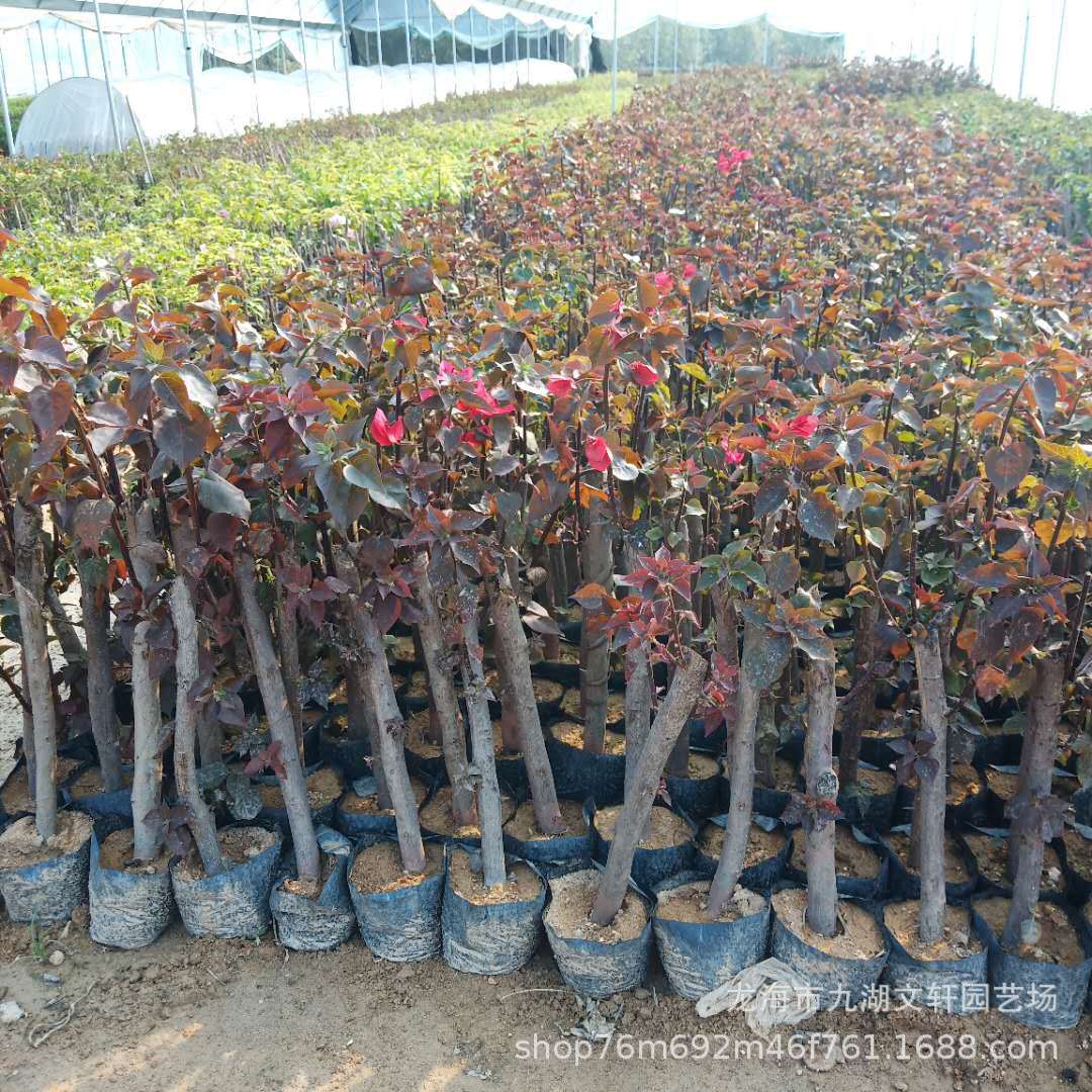 微信圖片_201903212217443