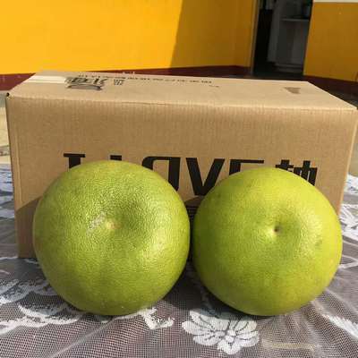 328 Apple Hubei Jingzhou grapefruit juice Filling Sweet and sour Tasty