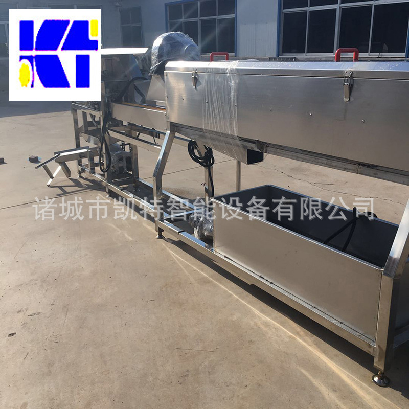 自动洗蛋机鹅鸭鸡蛋清洗机  大型蛋品光检机厂家现货供应清洁设备