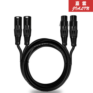 ��  �p���z���D�pĸ  ����ĸ�� 2 XLR ���D2XLRĸ���֙C����