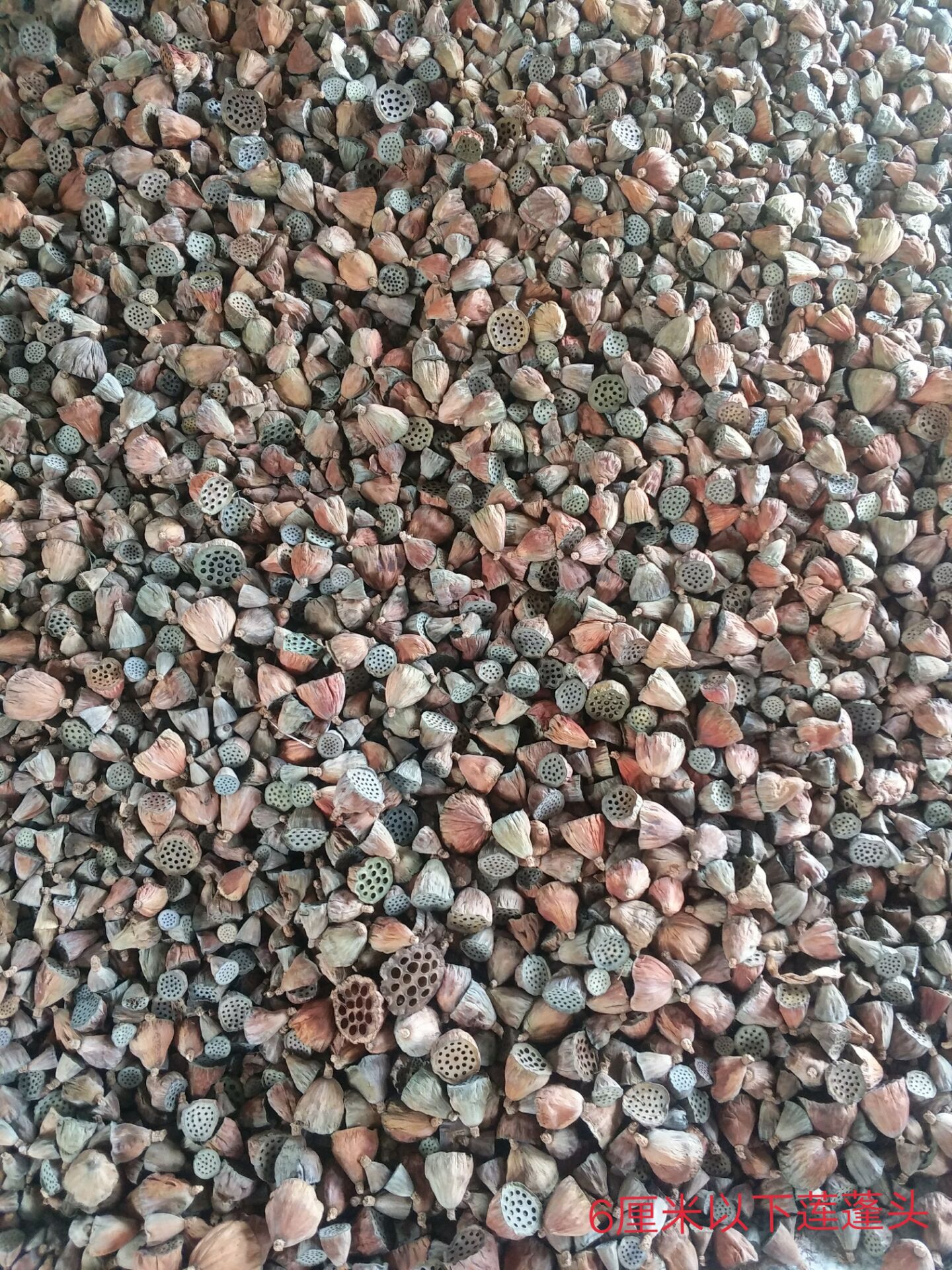 QQ图片20180811082708