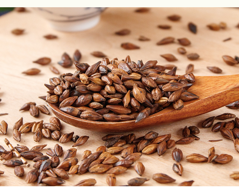 Roasted Barley Tea (Hordeum vulgare) — 450g Jar, Unsweetened Chinese Da Mai Cha in use