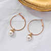 Fashionable long trend retro earrings from pearl, European style